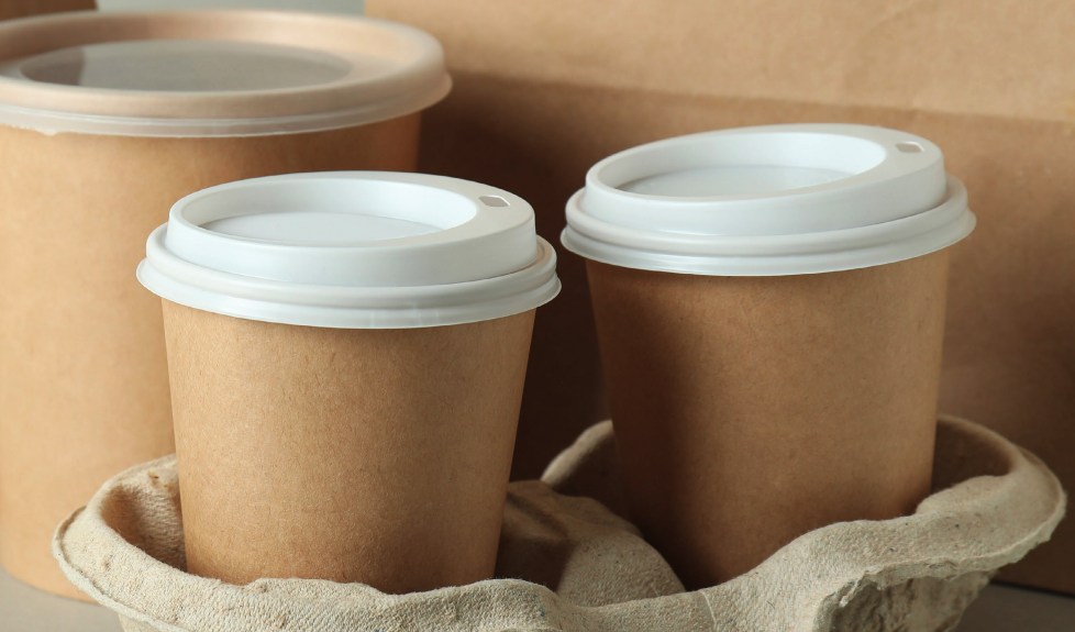 strategi adopsi Kemasan ramah lingkungan untuk Keberlanjutan UMKM Pangan